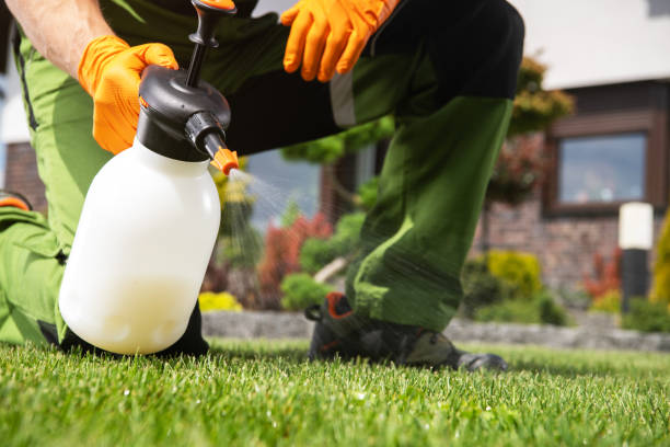 Best Lawn Pest Control  in Mansfield Center, CT